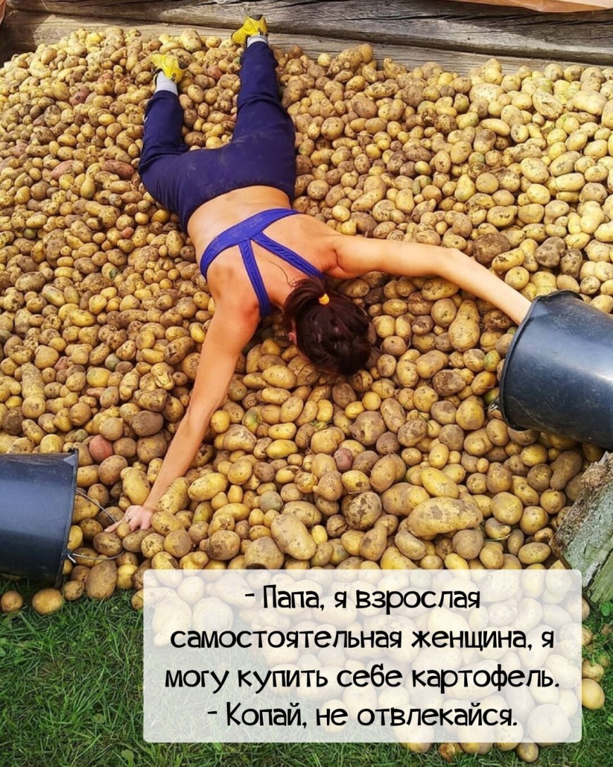 Смешной картофель