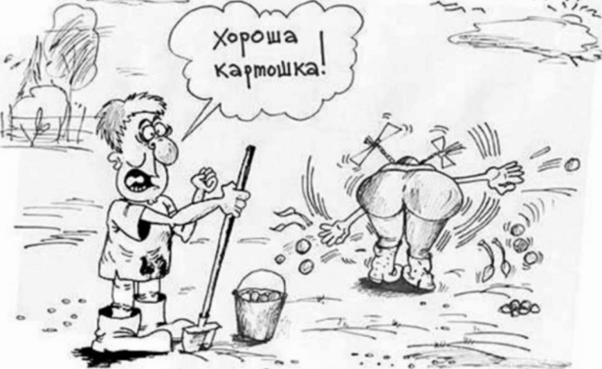 Картошка карикатура