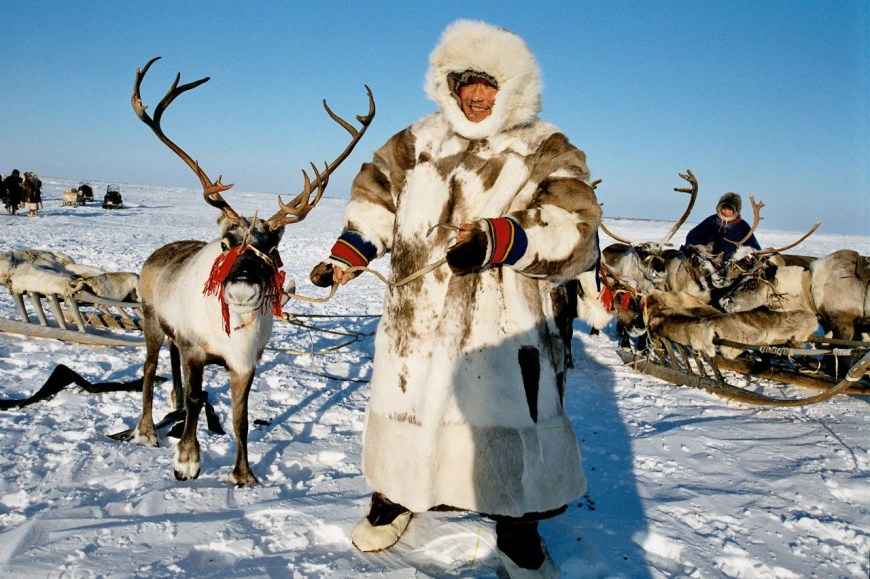 Эвенки, нанайцы, ненцы