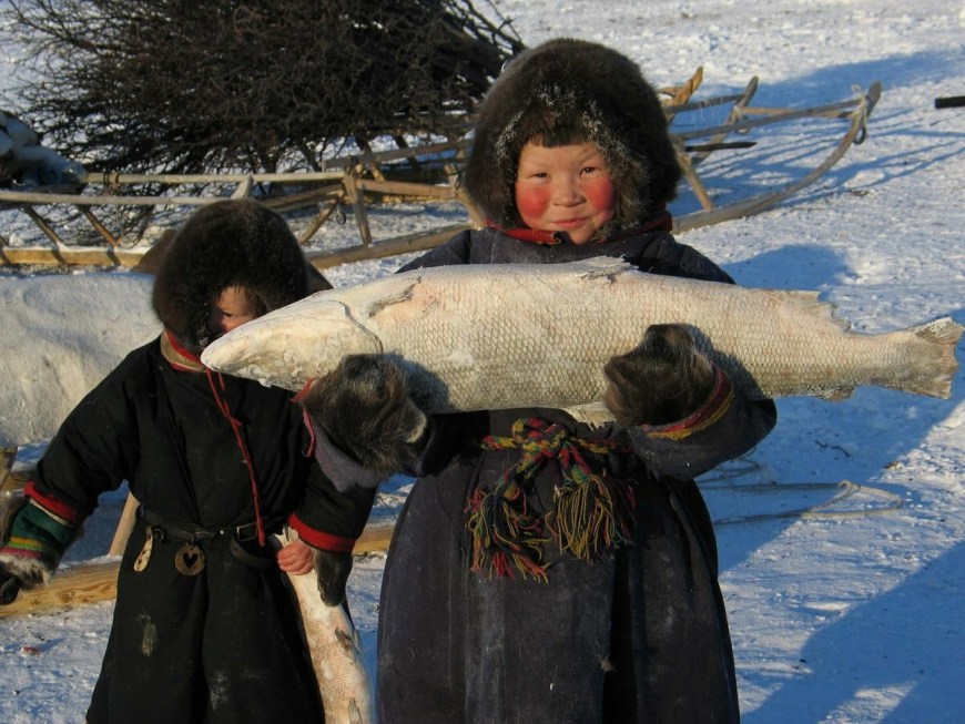 Ненцы, саамы, манси, Ханты