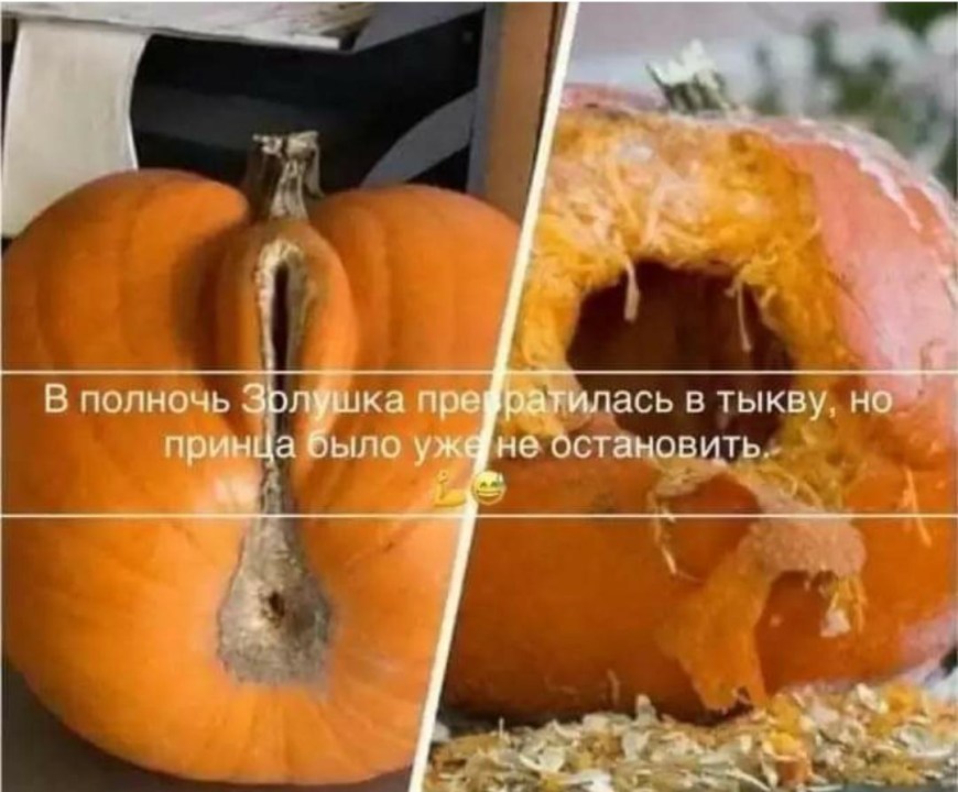 Золушка превратилась в тыкву прикол