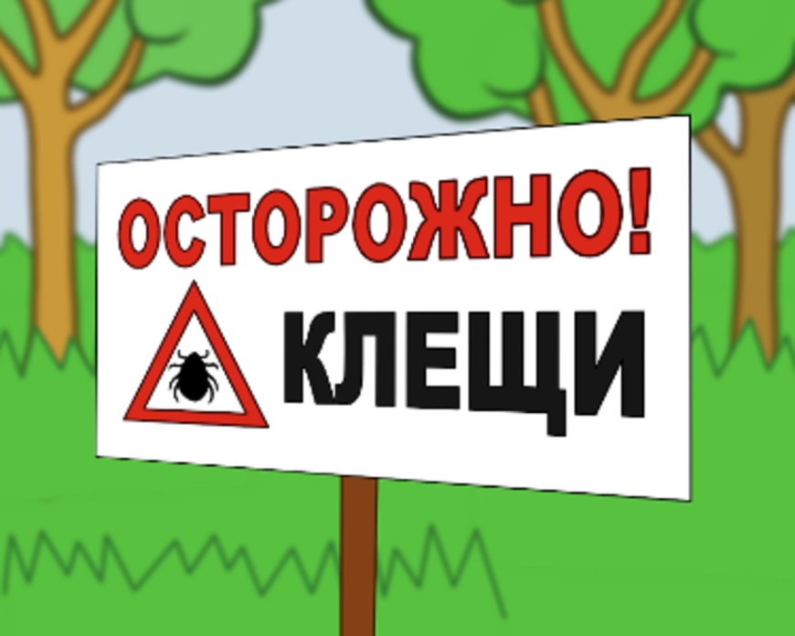 Осторожно клещи картинки