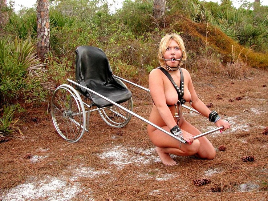 Bdsm запряженные в повозки
