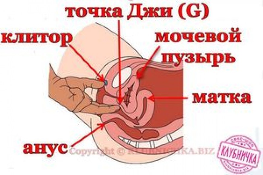 Точка Джи