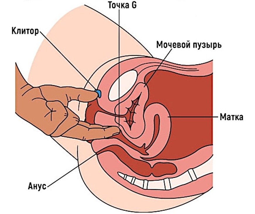 Точка Джи
