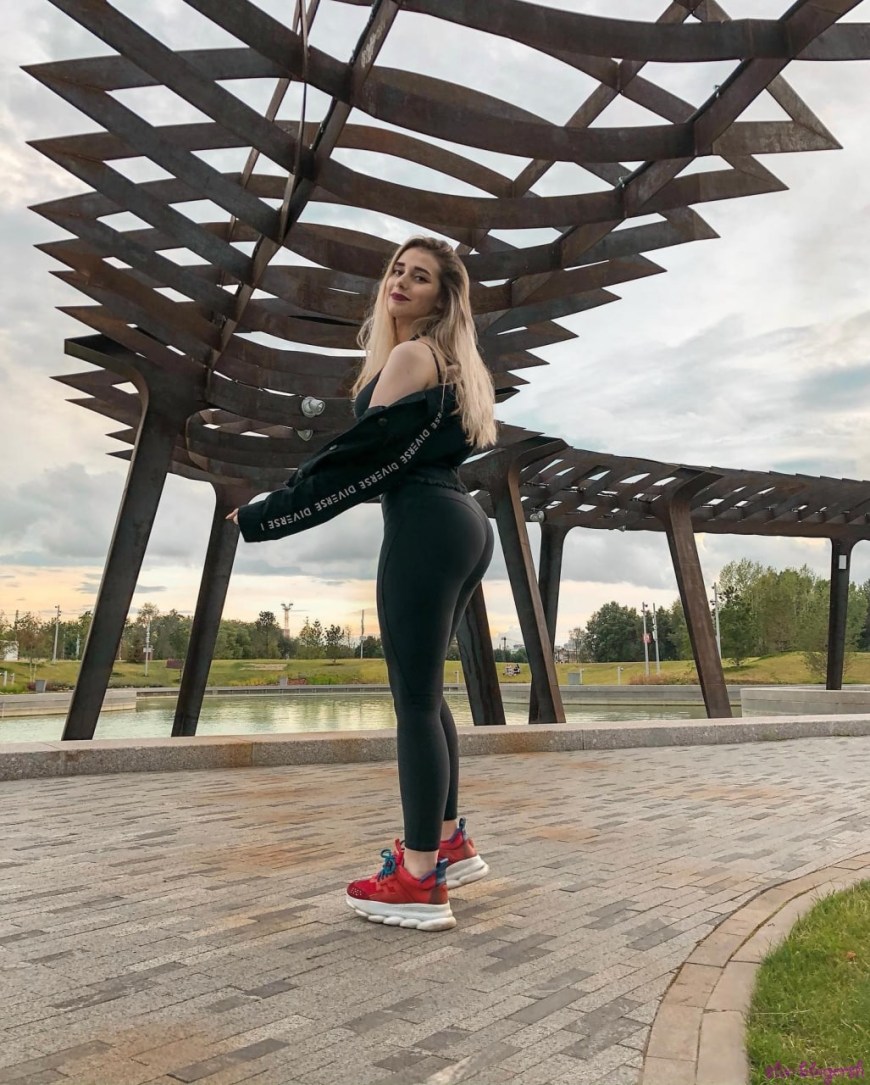 Сливы Светы Солар 18