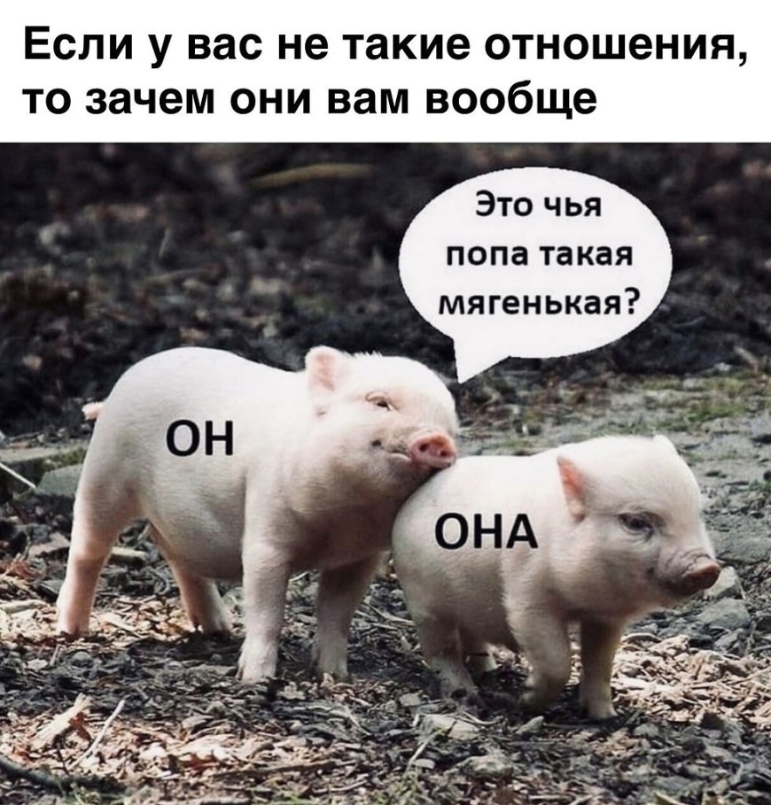 Это чья такая жепка мягенькая